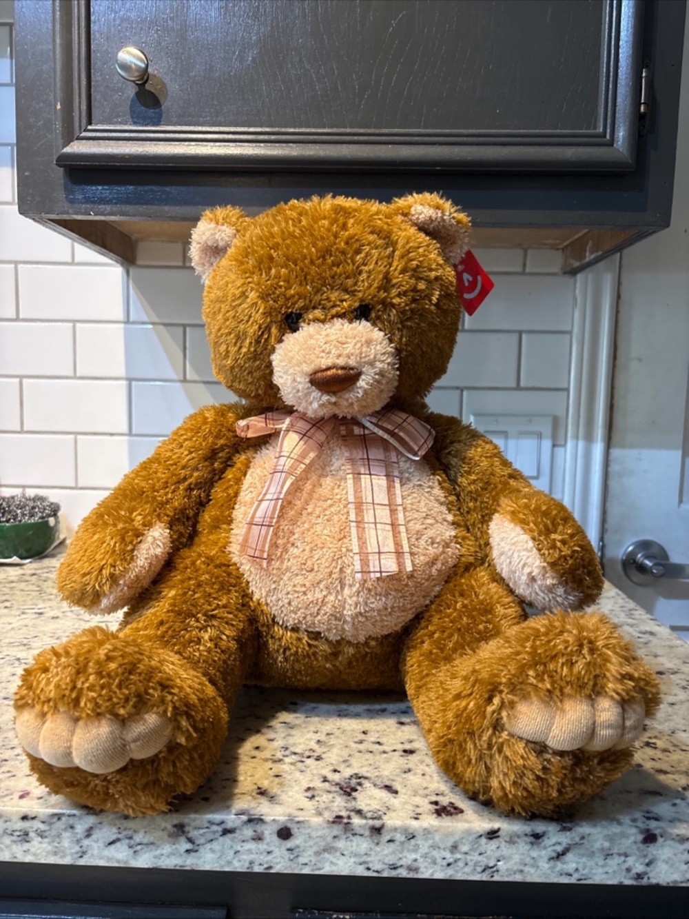 Aurora - Large Brown Bear - 22" Brown Sugar - Snuggly Stuffed Animal